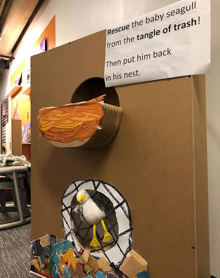 Prototype of seagull rescue interactive. Sign on the cardboard display says 